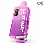 Lost Mary BM6000 Prefilled Rechargeable Vape Kit – Case of 5 Devices