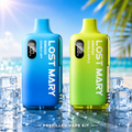 Lost Mary BM6000 Prefilled Rechargeable Vape Kit – Case of 5 Devices