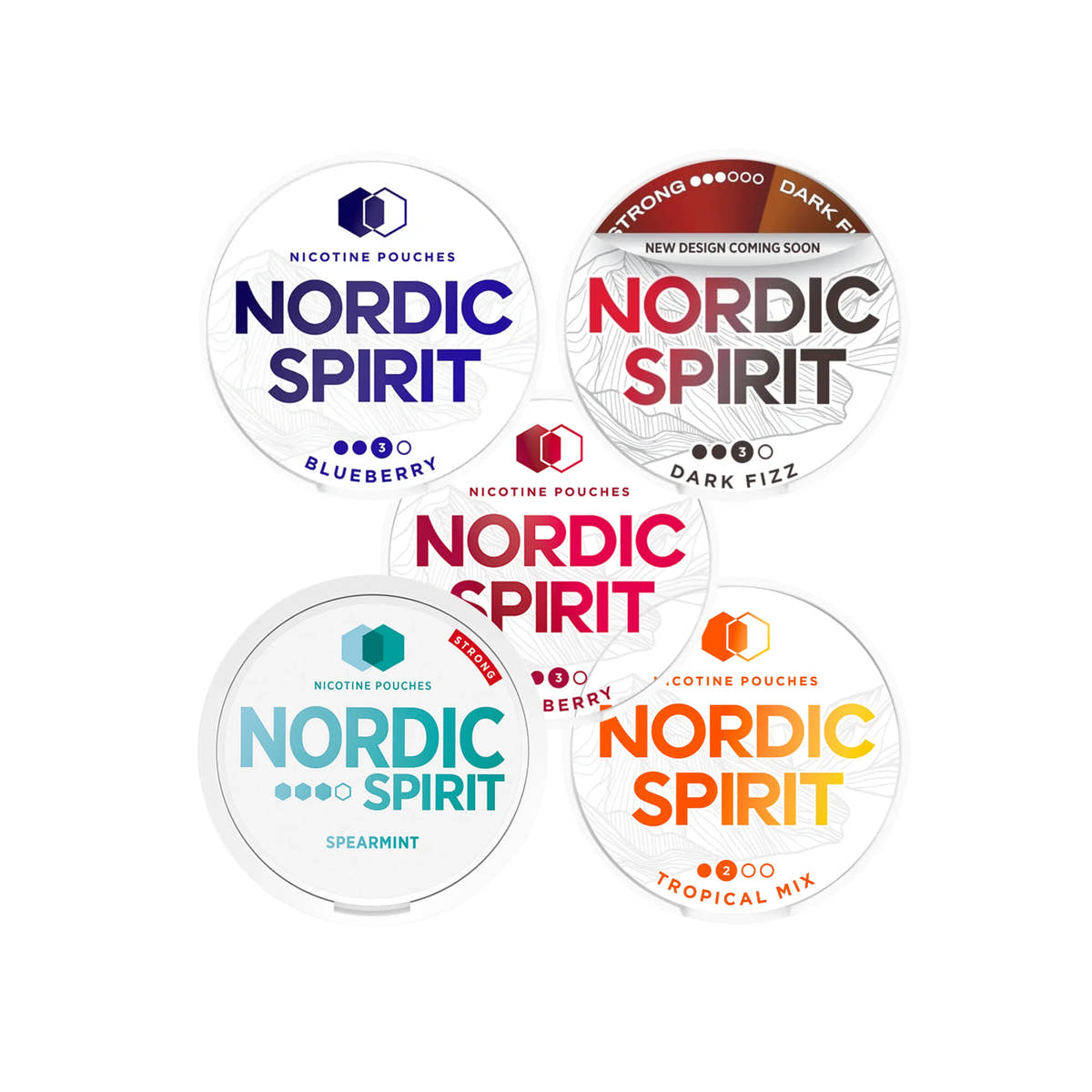 Nordic Spirit Nicotine Pouches – Bulk Multipack of 5 Cans
